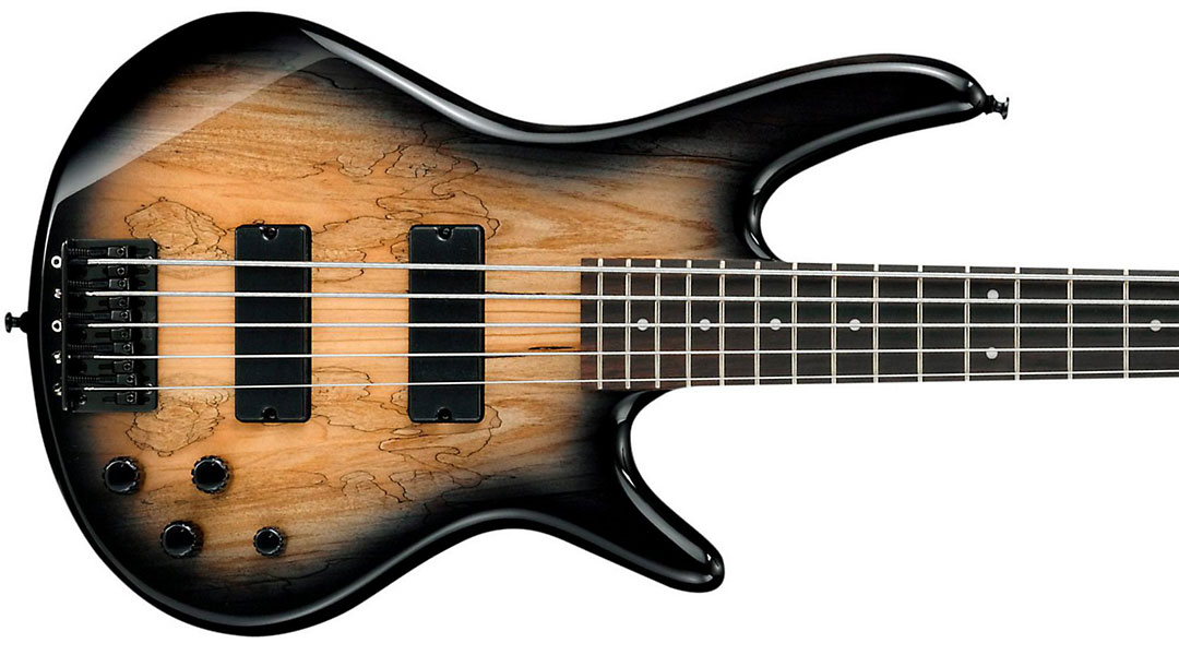 Ibanez Gsr205sm Ngt Gio Nzp - Natural Gray Burst - Bajo eléctrico de cuerpo sólido - Variation 1