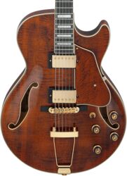 Guitarra eléctrica con forma de str. Ibanez Artcore Expressionist AG95MG DA - dark amber
