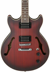 AM53 SRF Artcore - sunburst red flat