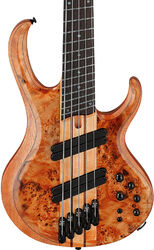 Bajo eléctrico de cuerpo sólido Ibanez Bass Workshop BTB805MS FNL 5-String - Florid Natural Low Gloss