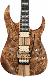 Guitarra eléctrica con forma de str. Ibanez RGT1220PB ABS Premium - Antique brown stain
