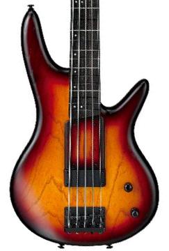 Gary Willis GWB205 TQF 5-String (Fretless) - Tequila Sunrise Flat