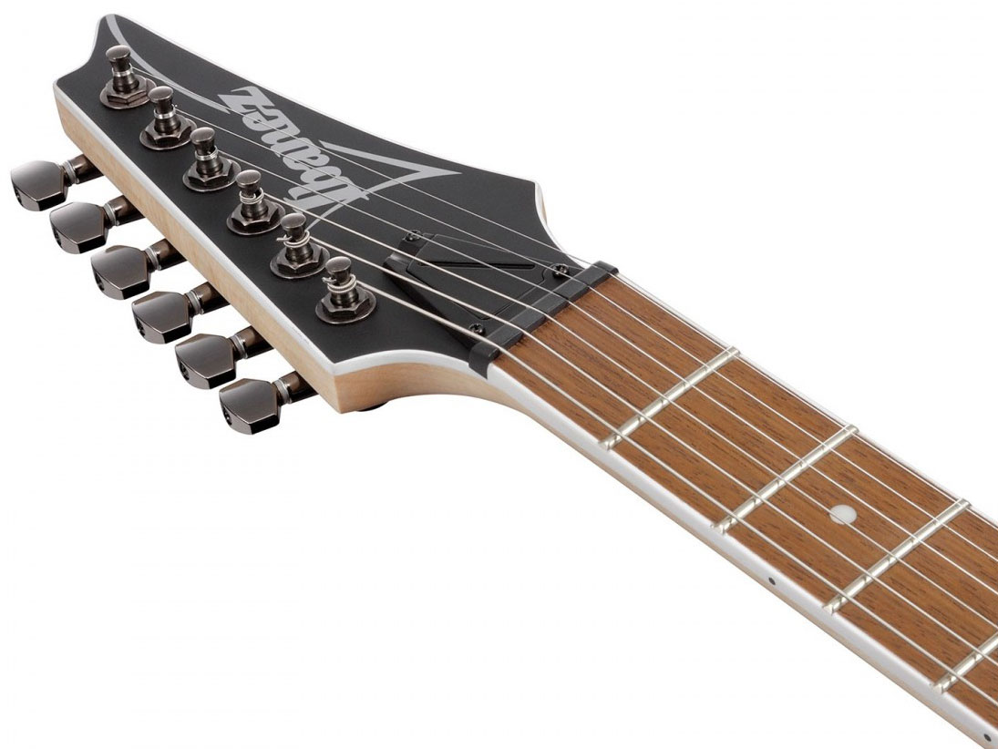 Ibanez Rg421s Sem Standard 2h Ht Ja - Sea Shore Matte - Guitarra eléctrica con forma de str. - Variation 4