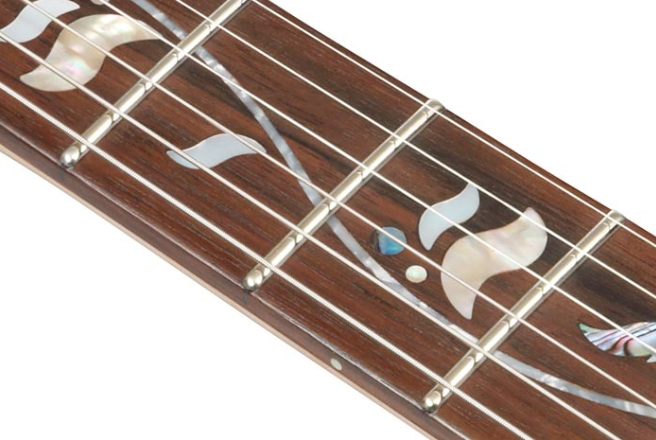 Ibanez Rg8570 Bsr J.custom Jap Hsh Dimarzio Fr Rw - Brownish Sphalerite - Guitarra eléctrica con forma de str. - Variation 4