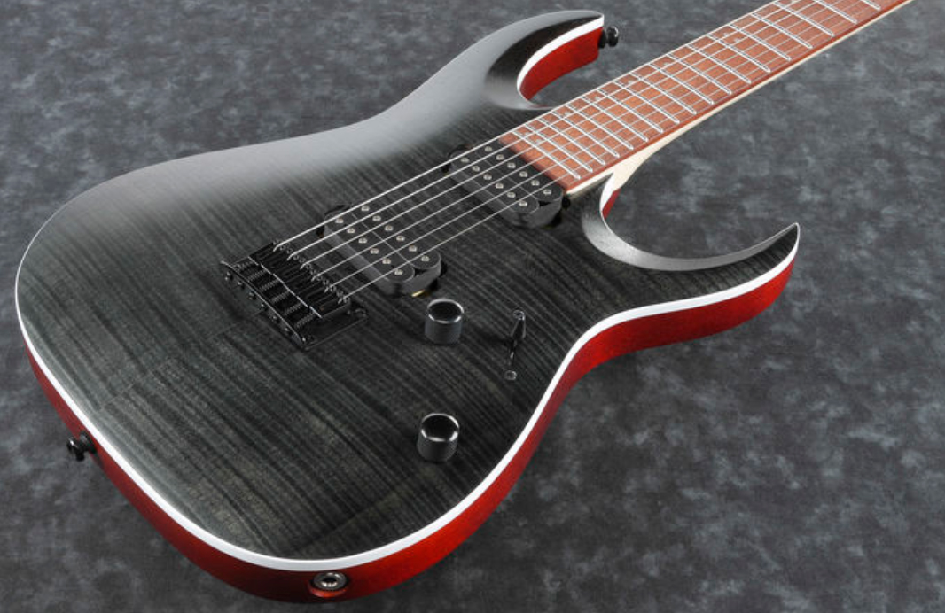 Ibanez Rga42fm Tgf Standard Hh Ht Rw - Transparent Grey Flat - Guitarra eléctrica con forma de str. - Variation 1