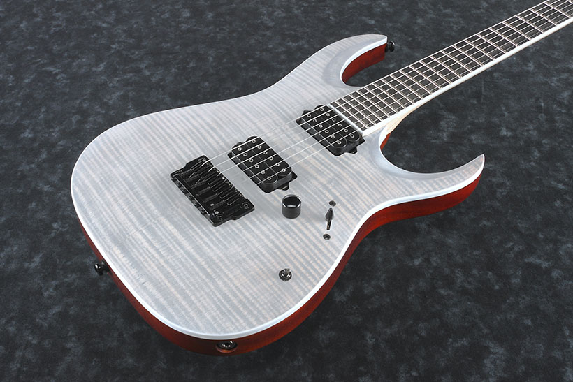 Ibanez Iron Label Rgaix6fm Wff Hh Dimarzio Ht Eb - White Frost Flat - Guitarra eléctrica con forma de str. - Variation 1