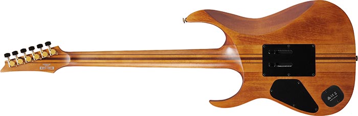 Ibanez Rgt1220pb Abs Premium Hh Dimarzio Fr Eb - Antique Brown Stain - Guitarra eléctrica con forma de str. - Variation 1