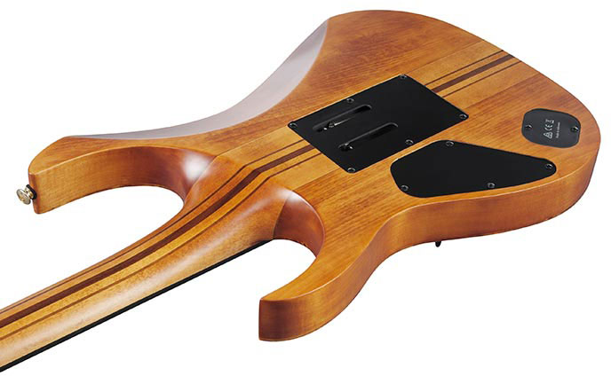 Ibanez Rgt1220pb Abs Premium Hh Dimarzio Fr Eb - Antique Brown Stain - Guitarra eléctrica con forma de str. - Variation 3