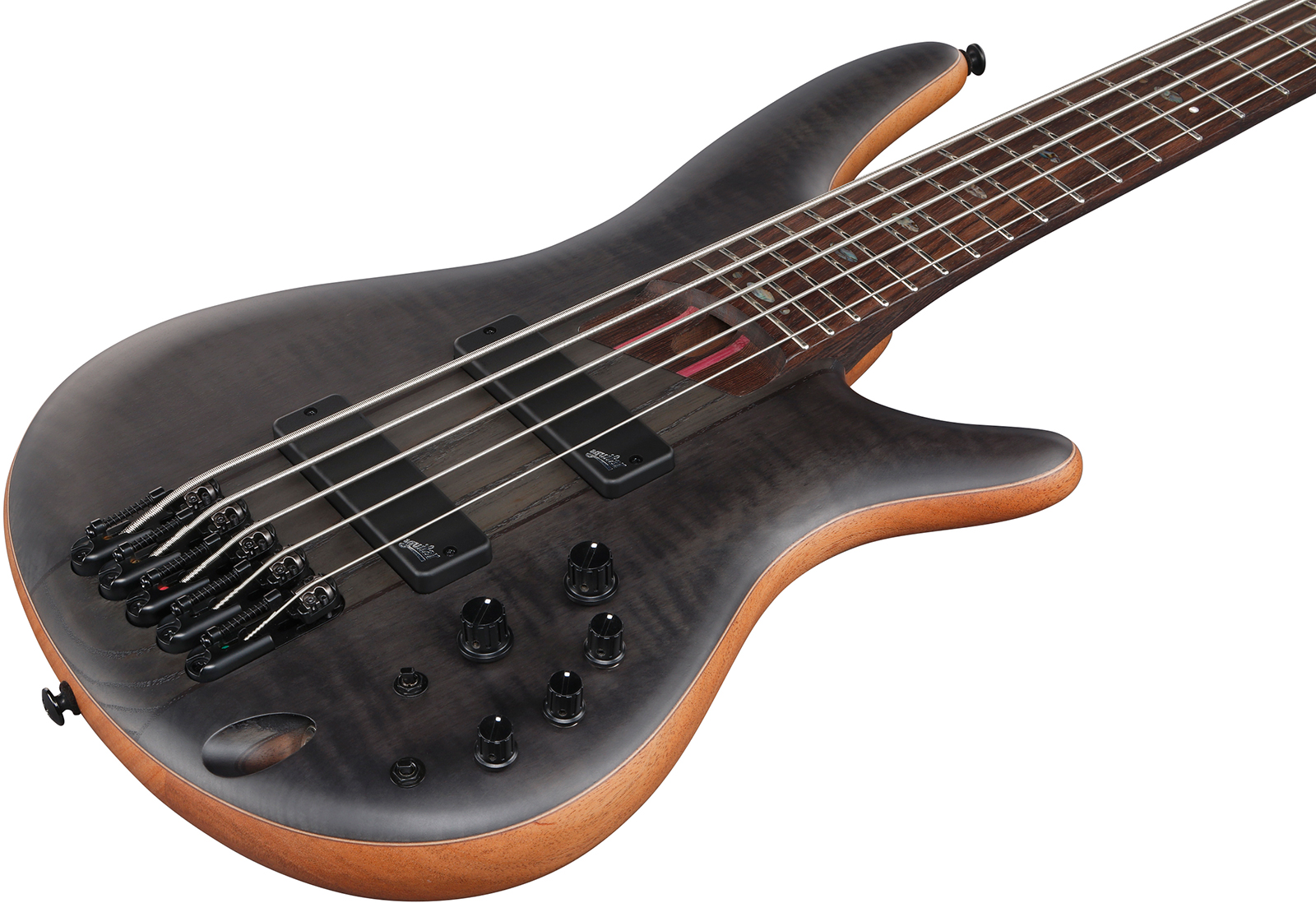 Ibanez Sr1455dw Tgf Premium 5c Active Rw - Transparent Gray Flat - Bajo eléctrico de cuerpo sólido - Variation 2