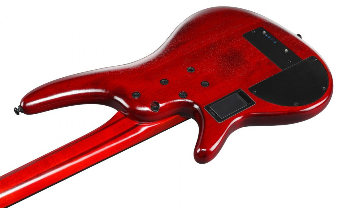Ibanez Srd900f Fretless Workshop Active Piezo Pp - Brown Topaz Burst Low Gloss - Bajo eléctrico semi caja - Variation 3