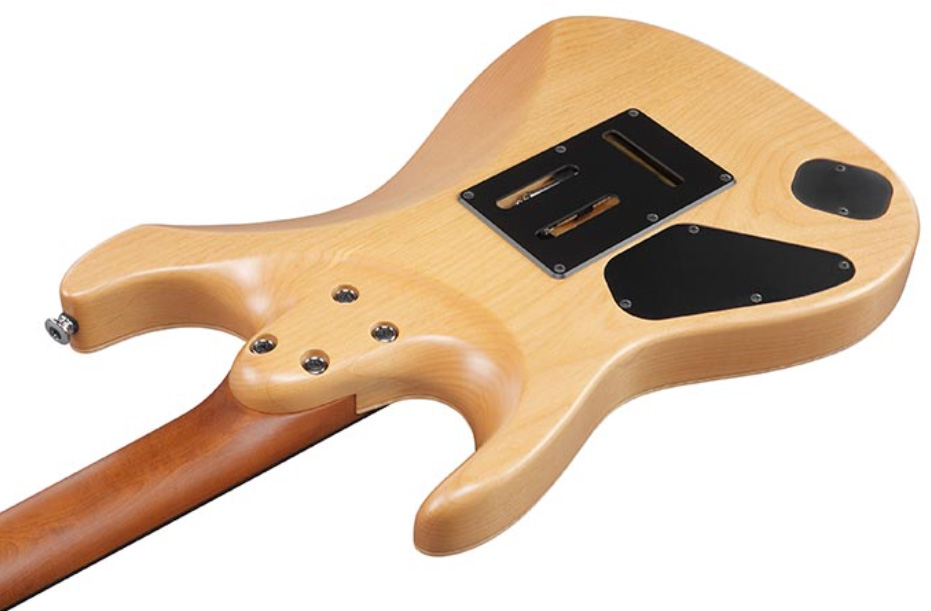 Ibanez Tom Quayle Tqm2 Jap Signature Hss Trem Rw - Charcol Black Burst Flat - Guitarra eléctrica de autor - Variation 4