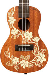 Gardenia Mahogany Concert Ukulele - natural satin