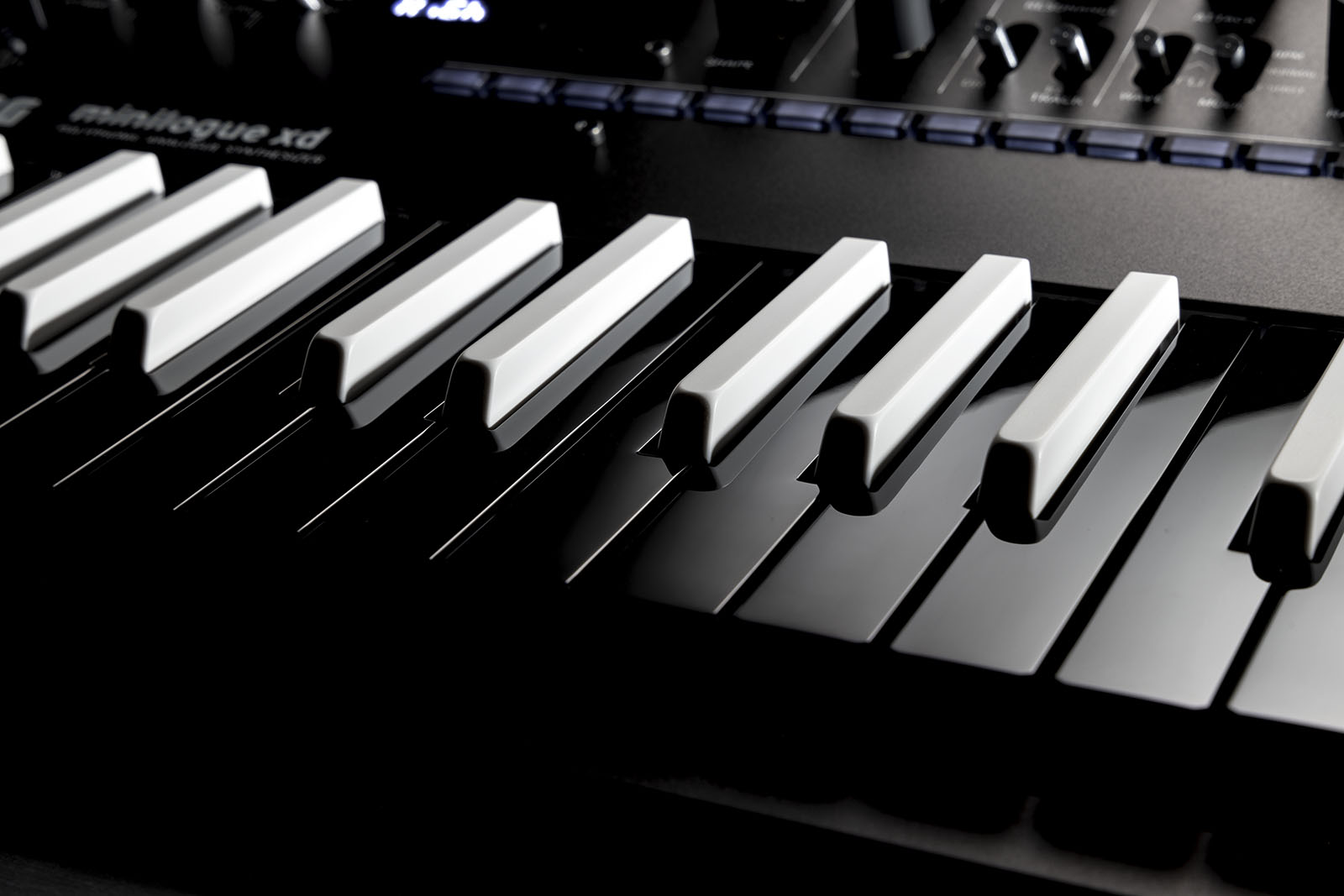 Korg Minilogue Xd Reverse Edition - Sintetizador - Variation 7