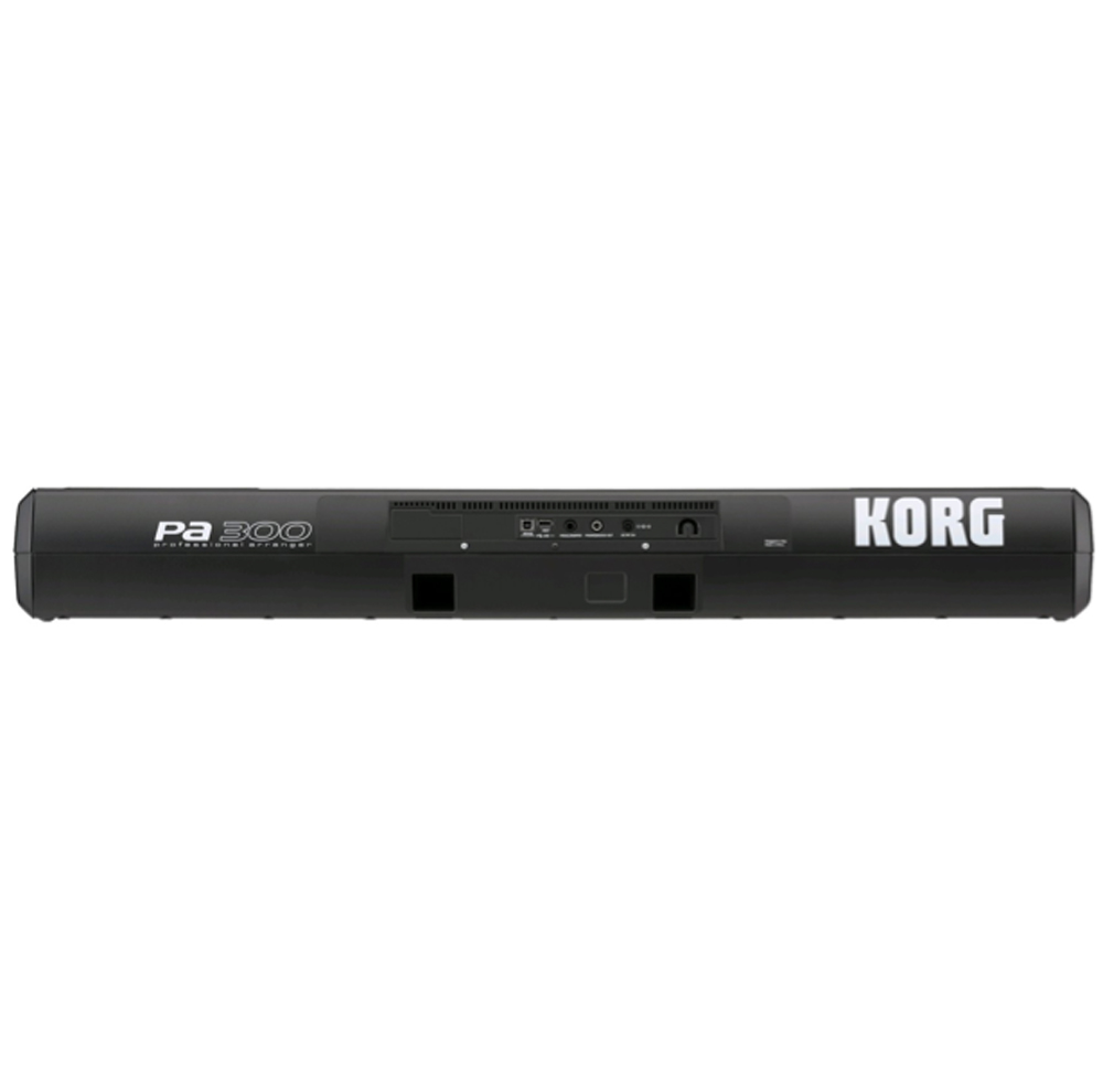 Korg Pa300 - Teclado de entertainer / Arreglista - Variation 2