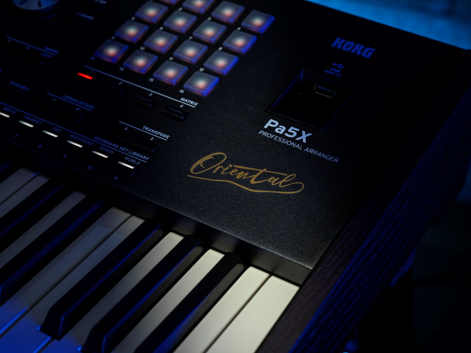 Korg Pa5x Oriental 61 - Teclado de entertainer / Arreglista - Variation 3