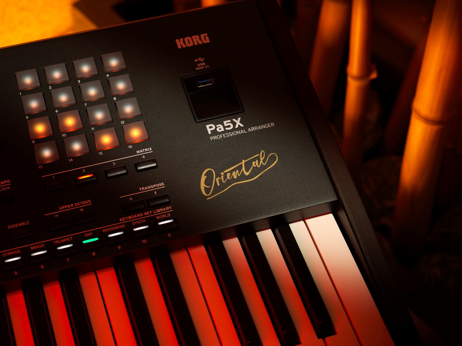 Korg Pa5x Oriental 76 - Teclado de entertainer / Arreglista - Variation 3