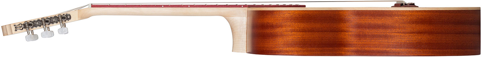 Kremona Sofia S65c Gg Green Globe 4/4 Cedre Acajou Ph - Natural - Guitarra clásica 4/4 - Variation 2