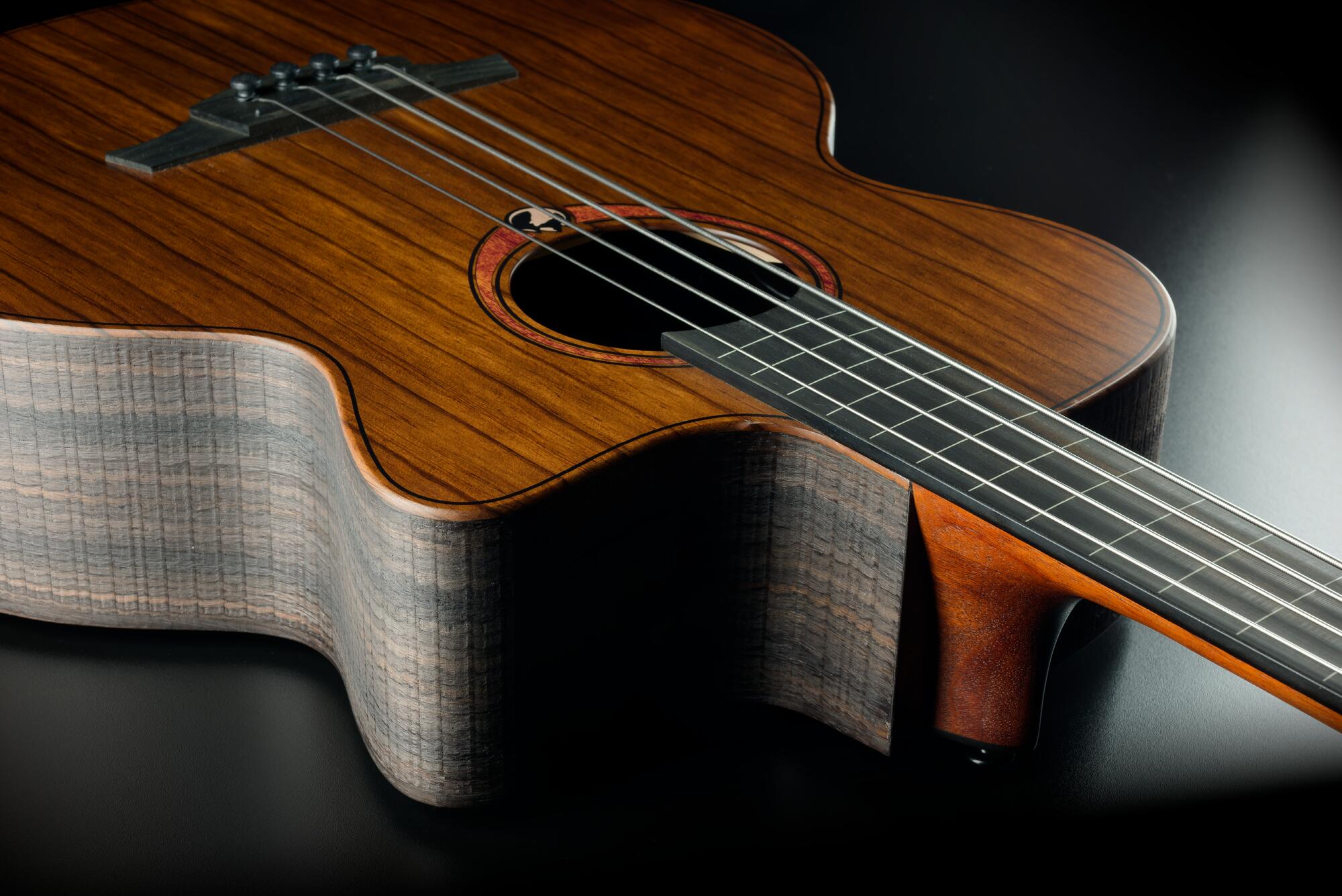 Lag Sauvage Basse Fretless Electro Br - Natural - Bajo acústico - Variation 3