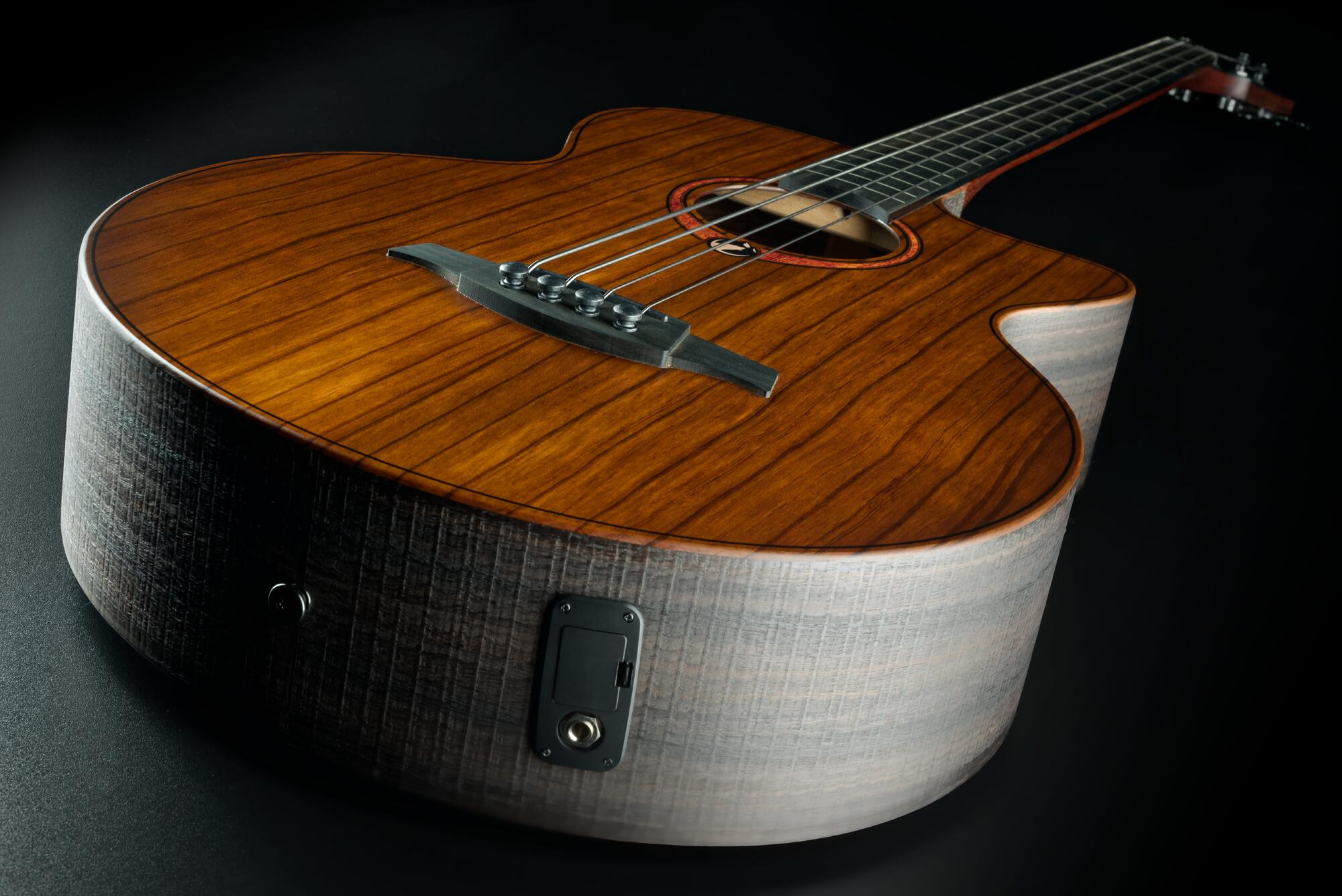 Lag Sauvage Basse Fretless Electro Br - Natural - Bajo acústico - Variation 4