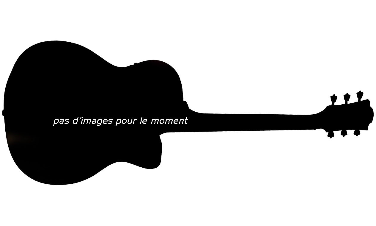 Lag T90ace Tramontane Auditorium Cw Tout Acajou Directlag Hd - Naturel Brillant - Guitarra acústica & electro - Variation 1