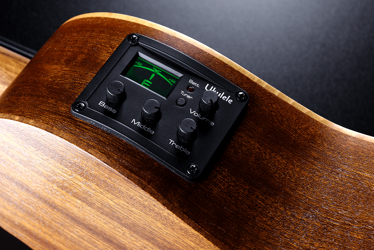 Lag Tkb150fce Mini Bass Fretless Tiki Cw Epicea Acajou +housse - Natural - Bajo acústico - Variation 6