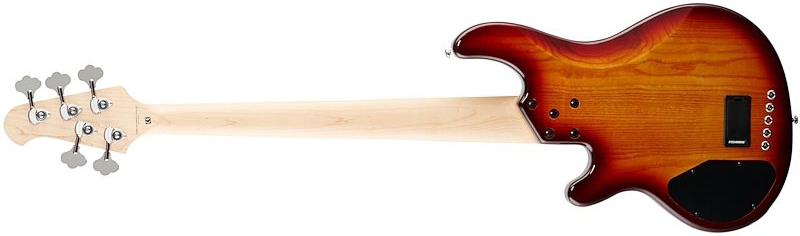 Lakland 55-02 Deluxe Qmt Skyline 5c Active Mn - Honey Burst Gloss - Bajo eléctrico de cuerpo sólido - Variation 1