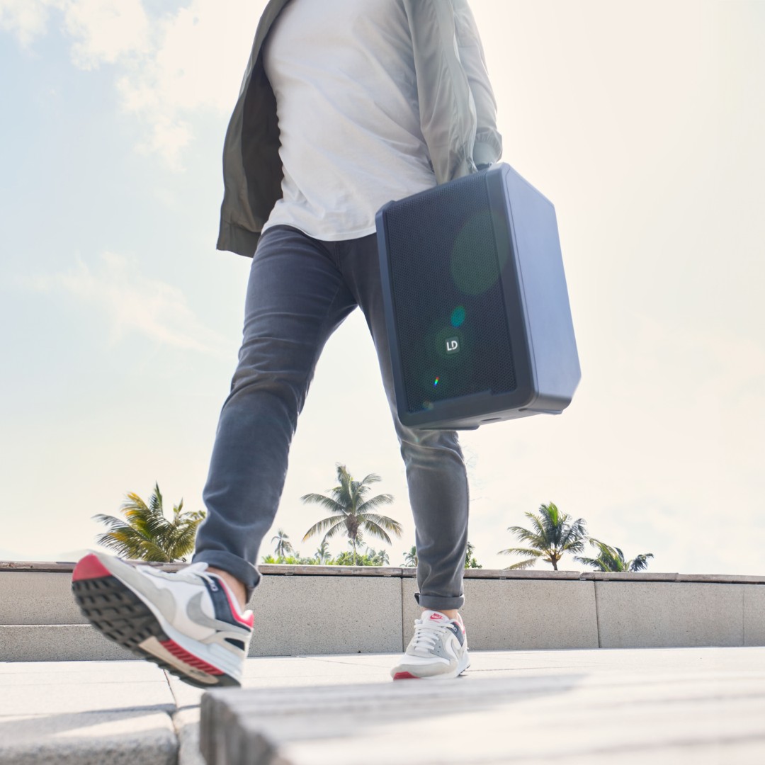 Ld Systems Anny  8 - Sistema de sonorización portátil - Variation 15