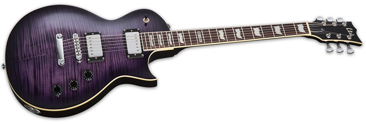 Ltd Ec-256fm Stpsb - See Thru Purple Sunburst - Guitarra eléctrica de corte único. - Variation 2