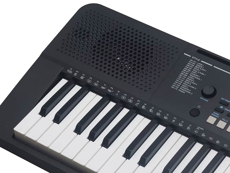 Medeli Mk110 - Teclado de entertainer / Arreglista - Variation 10