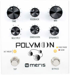 Pedal de reverb / delay / eco Meris Polymoon Delay