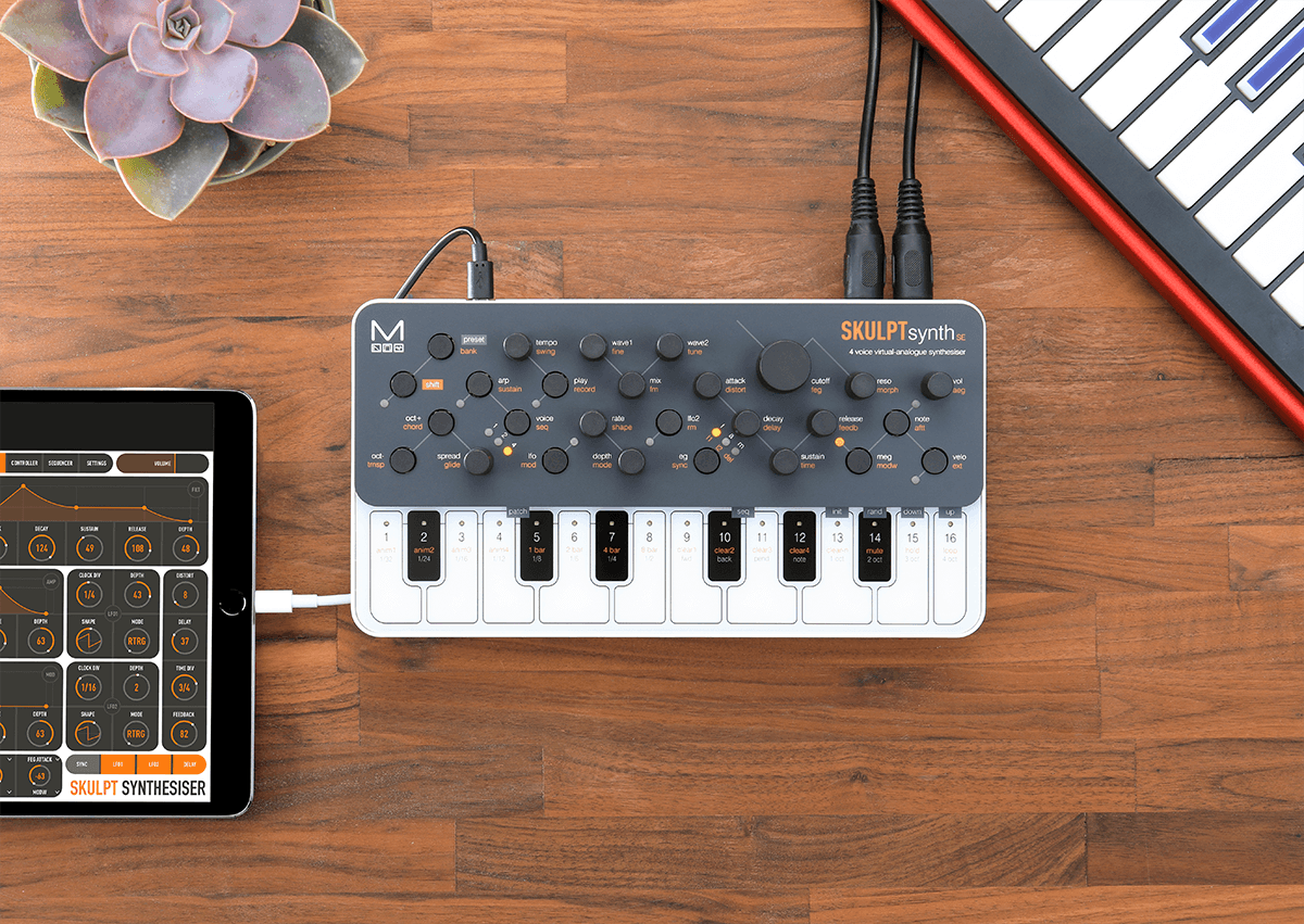 Modal Electronics Skulpt Synth Se - Sintetizador - Variation 6