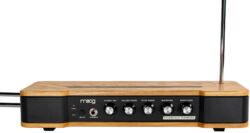 Expander Moog ETHERWAVE THEREMIN