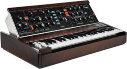 Minimoog Model D 2022