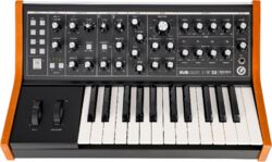 Sintetizador Moog Subsequent 25