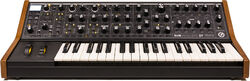 Sintetizador Moog Subsequent 37