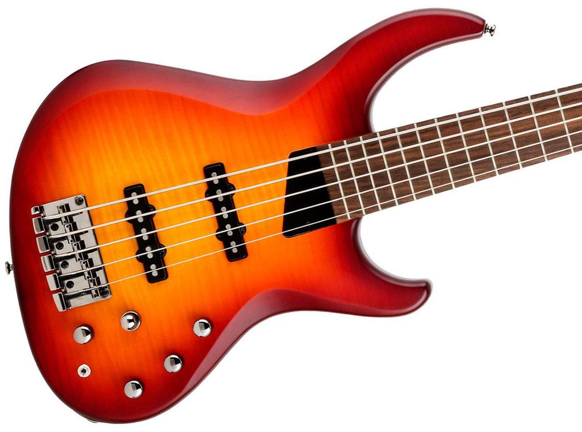 Mtd Saragota Deluxe Ksdx5mn-dcb Kingston 5c Active Lau - Deep Cherry Burst - Bajo eléctrico de cuerpo sólido - Variation 1