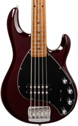 StingRay Special H 5-String +Gig Bag - translucent oxblood