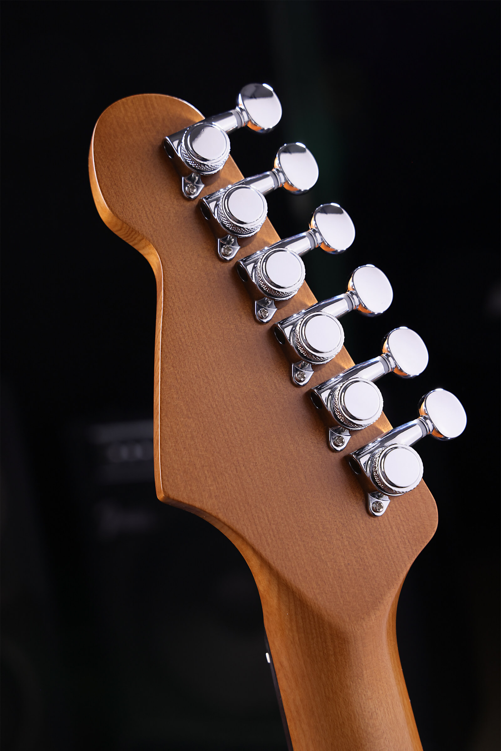 Patina Guitars Ps4 Sgr Hss Trem Rw - Sherwood Green - Guitarra eléctrica con forma de str. - Variation 4