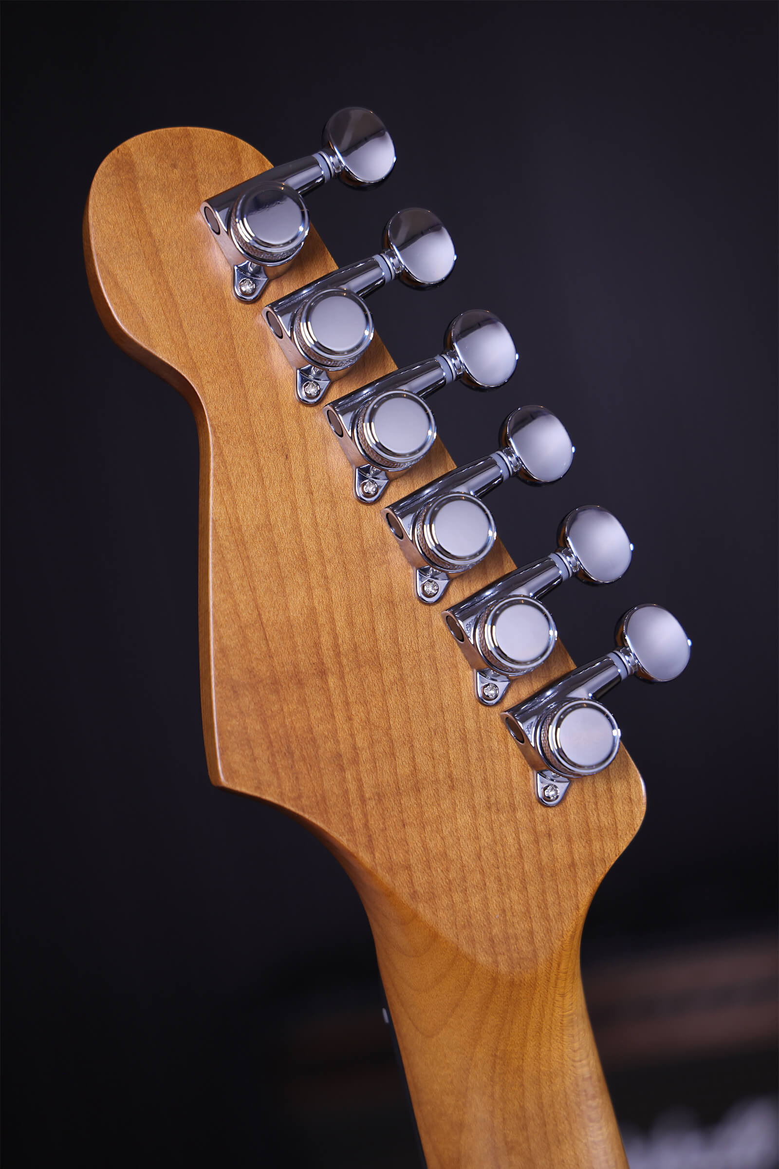 Patina Guitars Ps6 Sgr R 3s Trem Rw - Sherwood Green Relic - Guitarra eléctrica con forma de str. - Variation 4