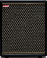 Cabina amplificador para guitarra eléctrica Positive grid Spark Cab 2
