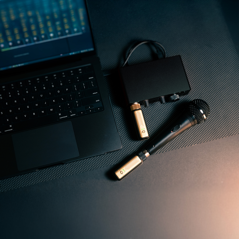 Positive Grid Spark Link Xlr - Sistema transmisor y receptor inalámbrico - Variation 5