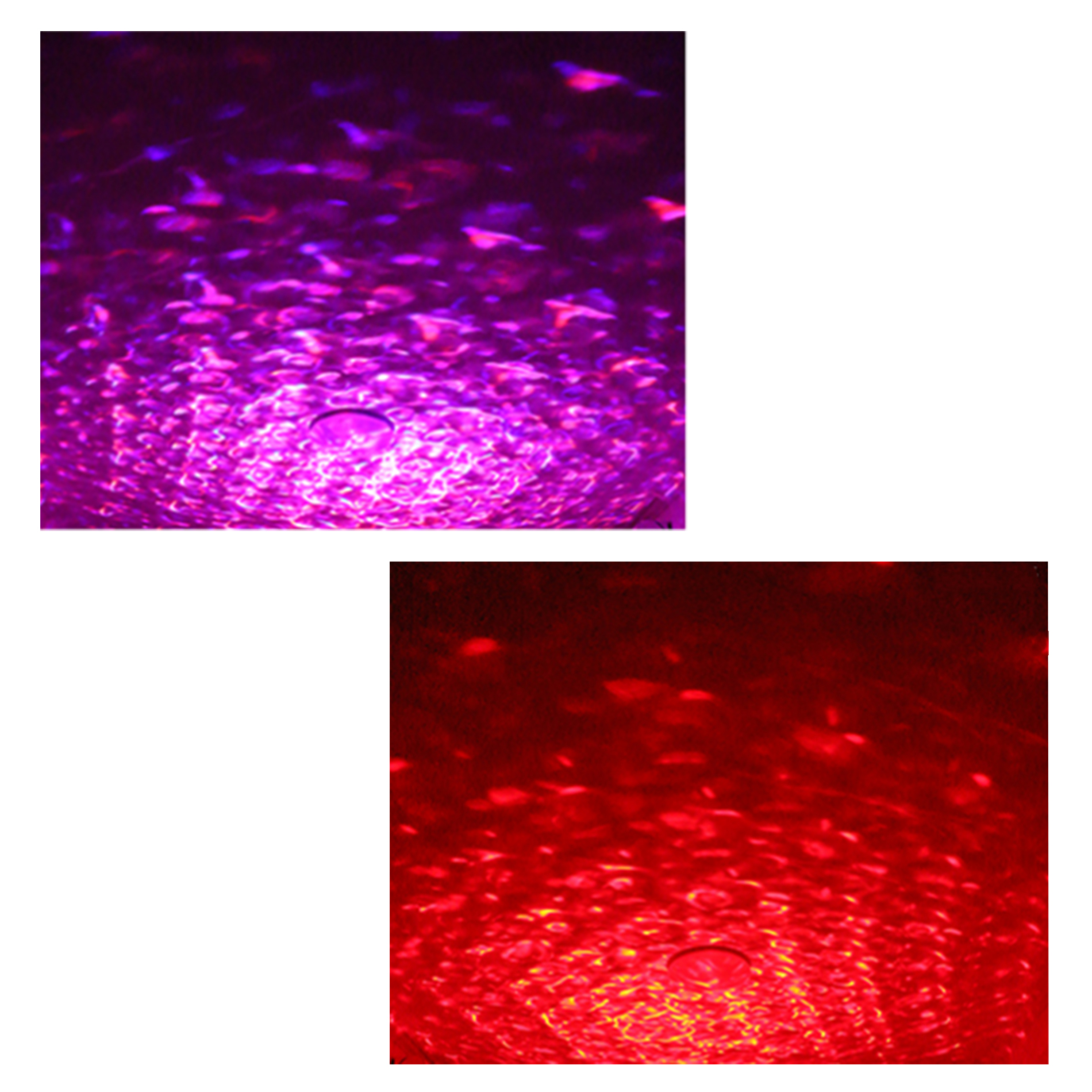 Power Lighting Waterfun - Derby / cameo - Variation 4