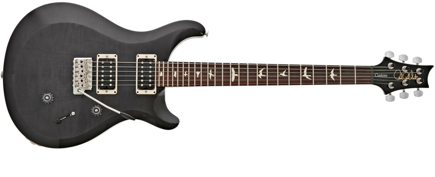 Prs S2 Custom 24 Usa Hh Trem Rw - Elephant Gray - Guitarra eléctrica de doble corte - Main picture