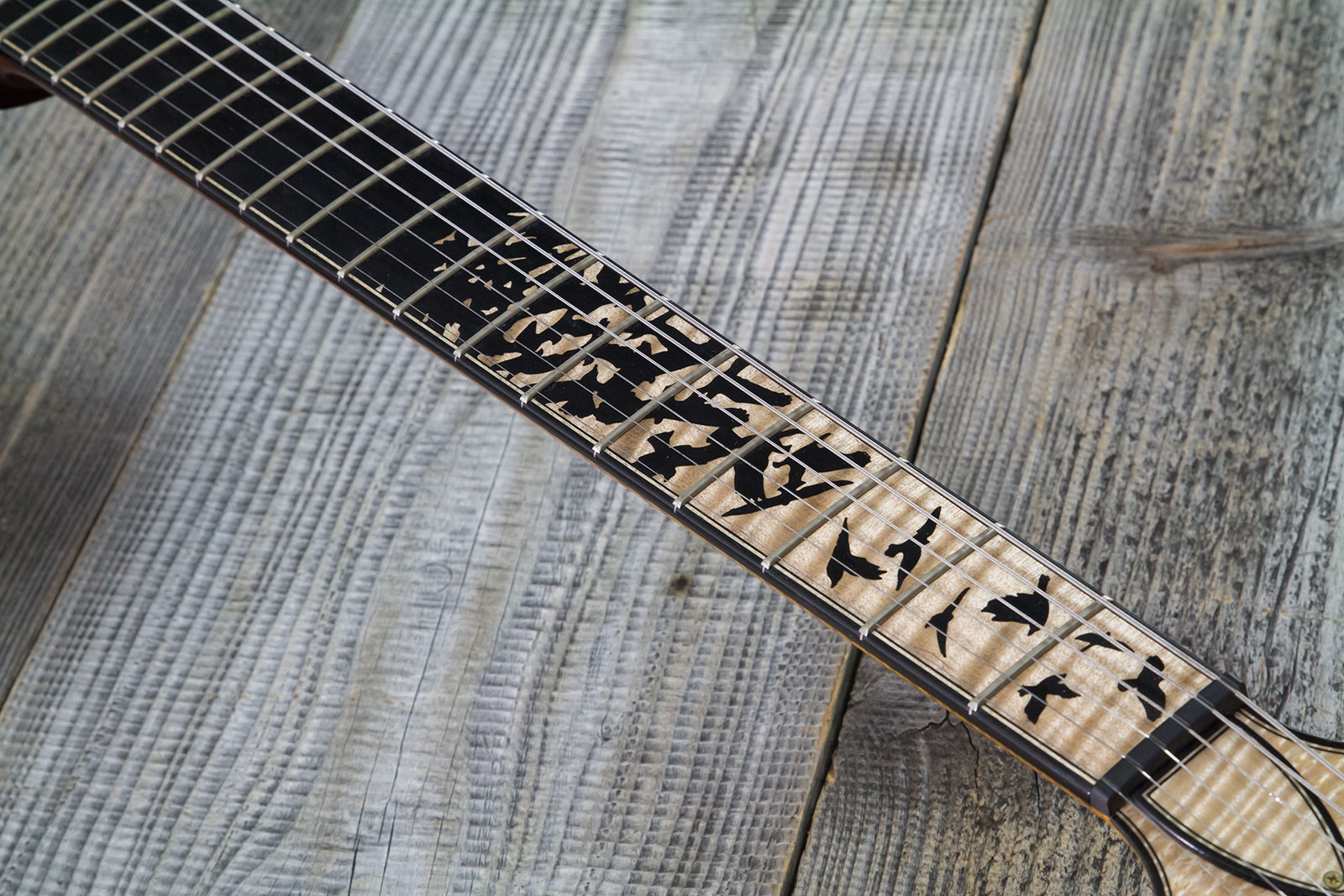 Prs Custom 24-08 Private Stock Hand-signed Usa 2h Trem Rw #0385255 - Mccarty Glow - Guitarra eléctrica de doble corte - Variation 5