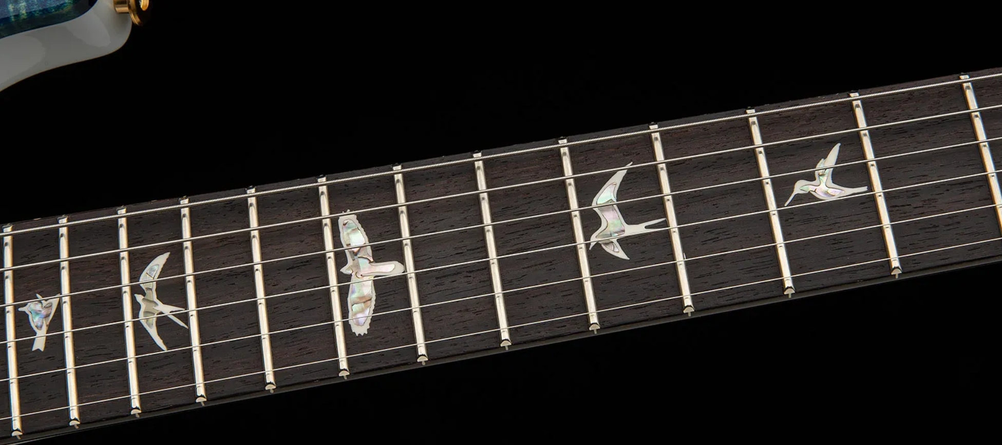 Prs Custom 24-08 Usa 2h Tci Trem Rw - River Blue Pearl - Guitarra eléctrica de doble corte - Variation 4