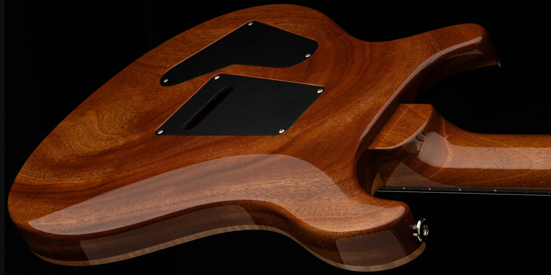 Prs Custom 24 40th Ann. Ltd Usa 2h Dmo Trem Rw - Tiger Eye - Guitarra eléctrica de doble corte - Variation 3