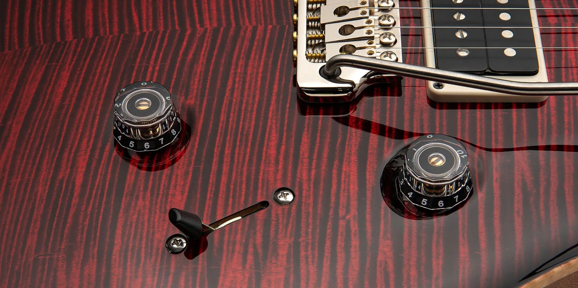 Prs Custom 24 Birds Of A Feather Usa Ltd 2h Trem Eb/mn - Blood Red - Guitarra eléctrica de doble corte - Variation 4