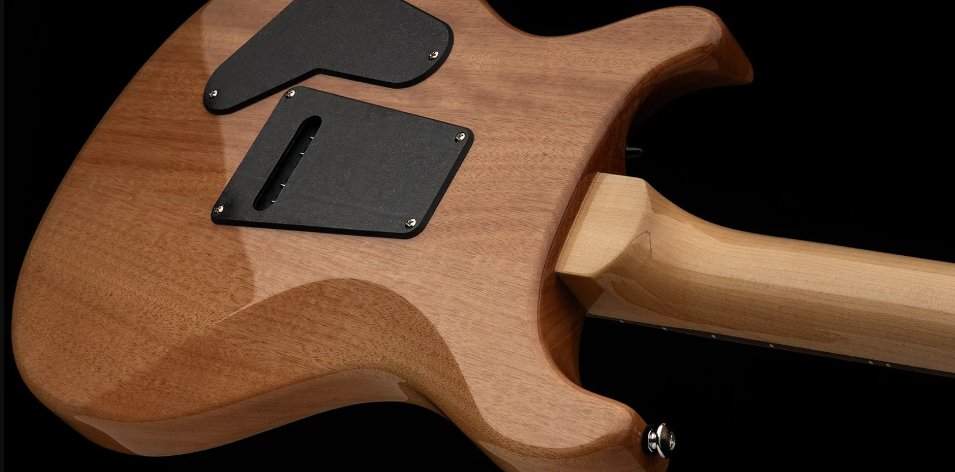 Prs Custom 24 Burled Ash Se Exotic Veneer Trem 2h Rw - Natural - Guitarra eléctrica de doble corte - Variation 4