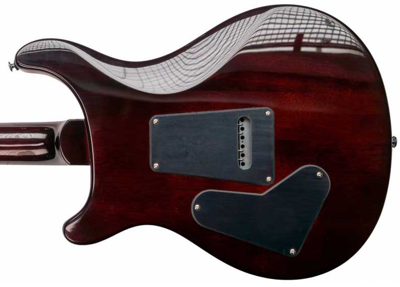 Prs Custom 24 Ltd Se 2h Trem Eb - Orange Tiger Smokeburst - Guitarra eléctrica de doble corte - Variation 3