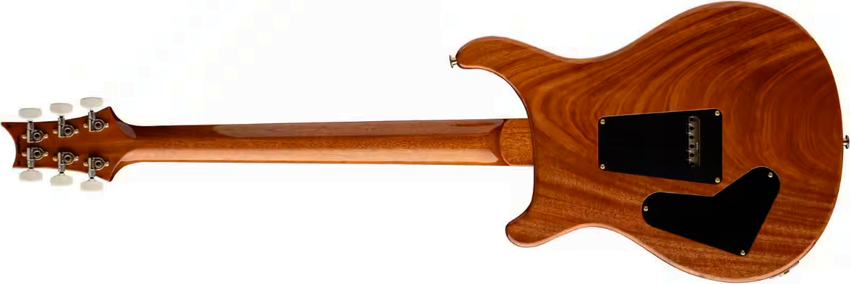 Prs Custom 24 Usa 2h Dmo Trem Rw - Carroll Blue - Guitarra eléctrica de doble corte - Variation 1